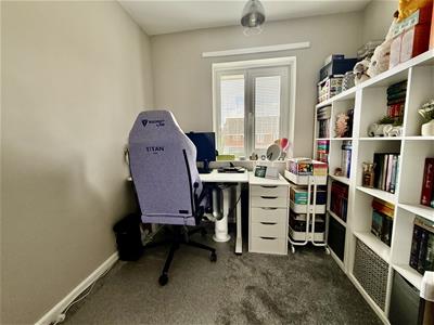 Picture 13